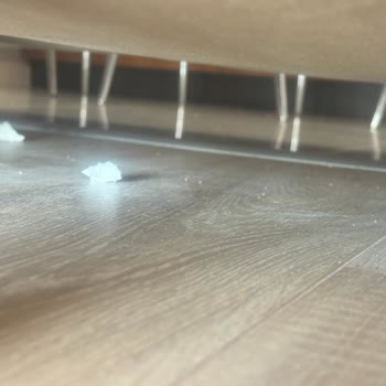 Eliz Hotel Çözüm Odaksız Temizlik Problemi