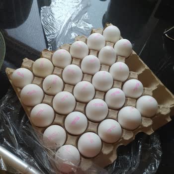 BİM Den Yumurta Aldım Eksik Çıktı