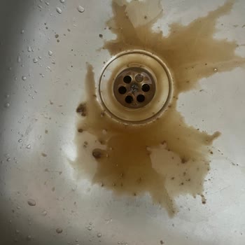 Obsesso Soğuk Değil Bozuk Kahve