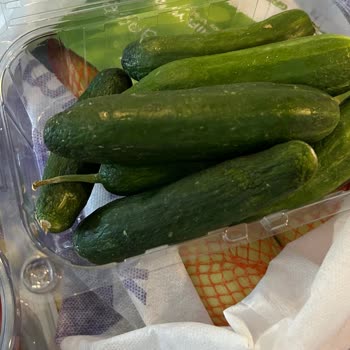 Getir Hasarlı Ürünü Evimden Almıyor