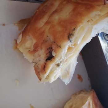 Melekoğlu Baklava BÖREK-BAKLAVA Bozuk Çıktı