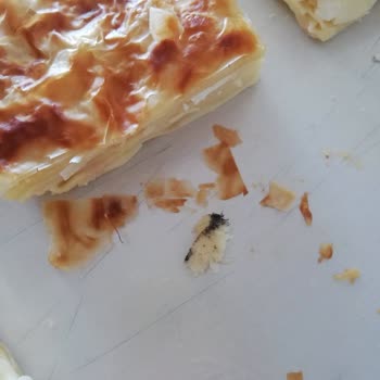 Melekoğlu Baklava BÖREK-BAKLAVA Bozuk Çıktı