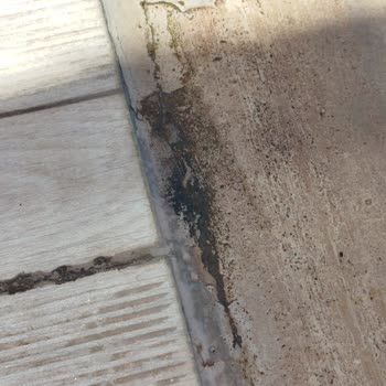 Jura Hotels Kemer Resort Daha Kötüsünü Daha Pisini Görmedim.