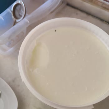 BİM Dost Yoğurttan Çıkan Yabancı Cisim