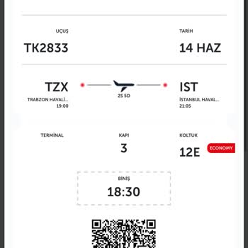 Turkish Airlines Tarafından Mağdur Edildim.