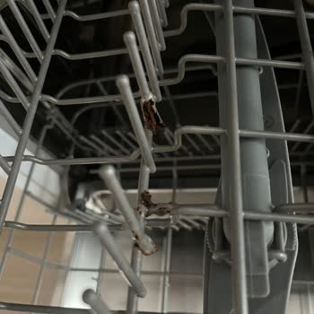 Samsung Bulaşık Makinesi Sepetleri Paslanıyor!