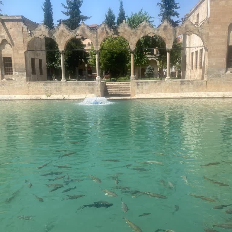 Dreams Tur Dreams GAP Tur Rehber