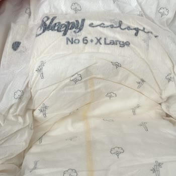 Sleepy Bez İçerisindeki Anlamsız Tohumlar