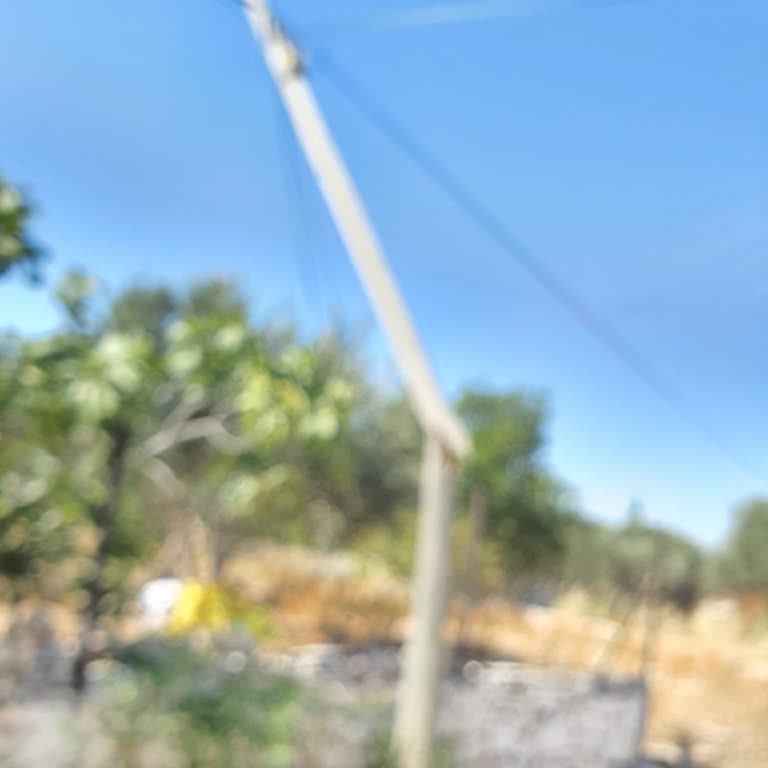 Derhal Gerekeni Yapsın Türk Telekom