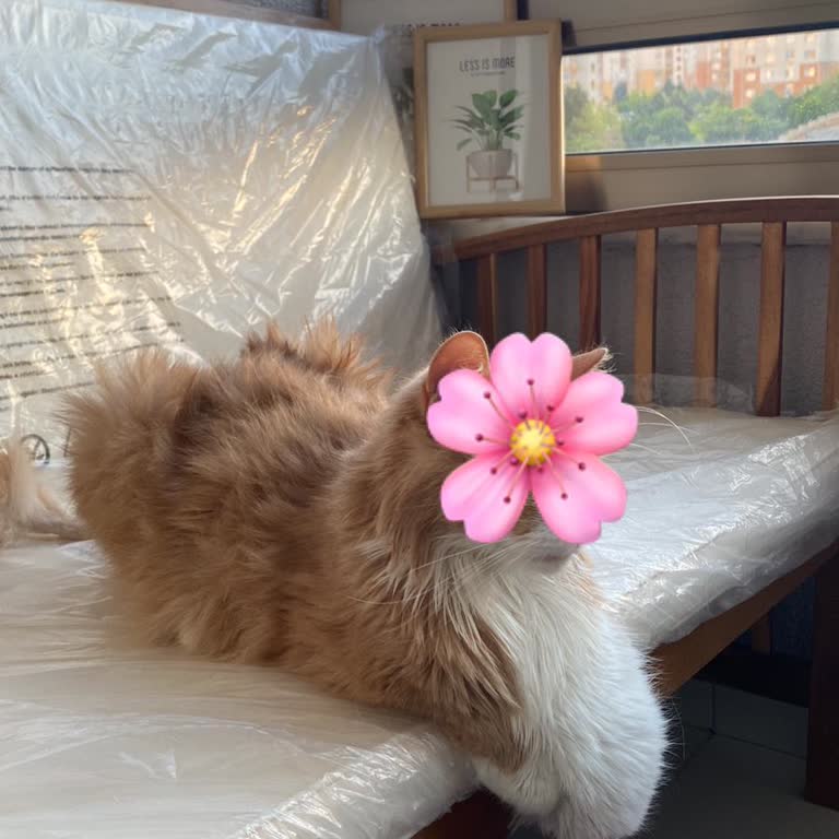 Arterium Kedime Yanlış Uygulamalar Sonucunda Uzayan Tedavi Süreci