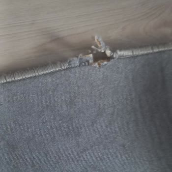 Doğal Halı Yıkama Halı Temizlemek İçin Aldılar Parçalayıp Verdiler