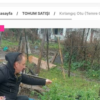 Botanikmarket.org Botanik Market Şikayeti