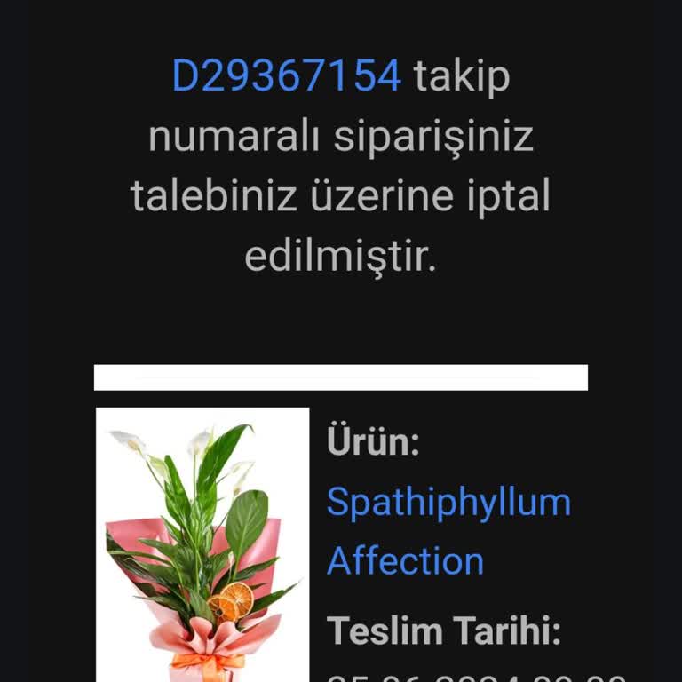 Taze Çiçek (tazecicek.com) Geciken Çiçek Teslimatı Ve Yetersiz Müşteri Hizmetleri