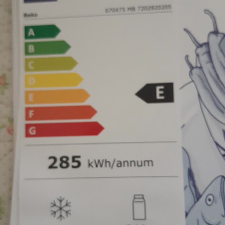 Beko Buzdolabı Kurulum Bilgisi Verilmemesi