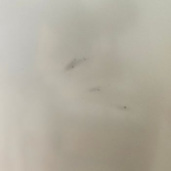 Arçelik Ürünlerde Kronik Hata Var Suçu Müşteriye Atıyor...