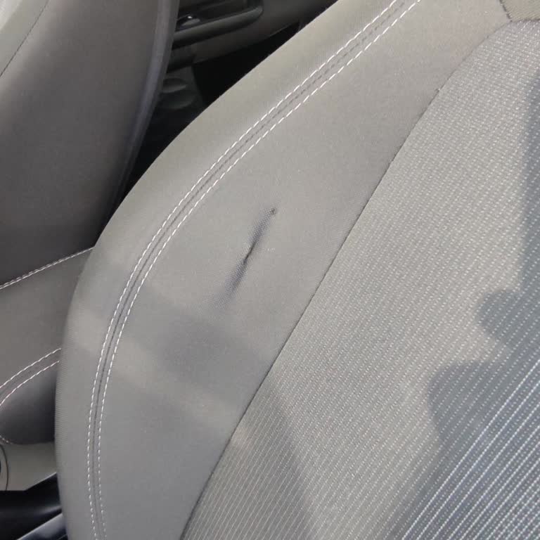 Fiat Müşteri Hizmetleri Ve Kayseri İnciroğlu Fiat Bayii