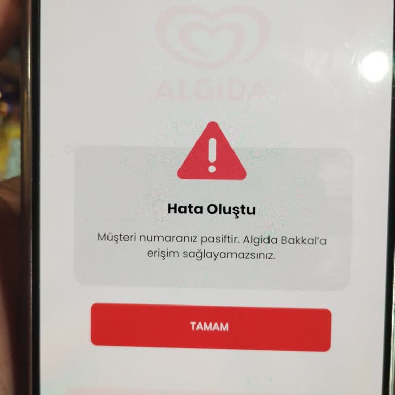 Algida Bakkal Kazançlarımızı Firmanın Vermemesi Hesabımı Pasif Durumda