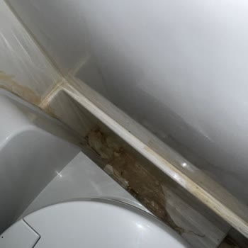 Turex Turizm Gez Car Karavan Firması