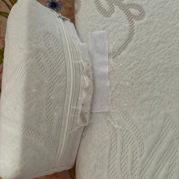 Ebebek Aldınız Yatak Yırtıldı