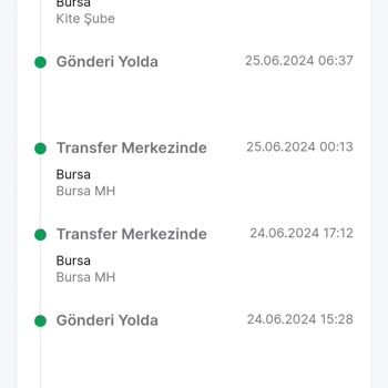 Trendyol Express Bursa İçi Teslim Edilmeyen Kargom