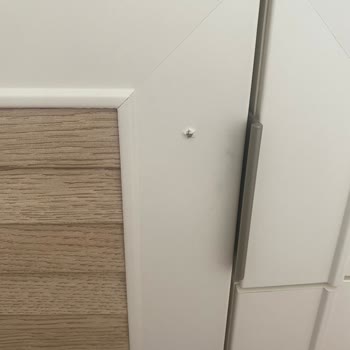Bellona Mağdurum Mağdurum Arkadaş