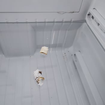 Vestel Buzdolabı Servis Problemi