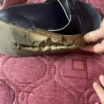 Ceyo Terlik Beni Duy