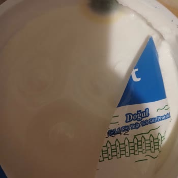 BİM'den Aldığım Sek Yoğurt Küflenmiş Çıktı!