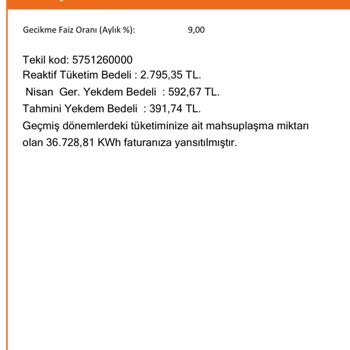 Cerean Enerji Yanlış Fatura Ve İlgisizlik Sorunu