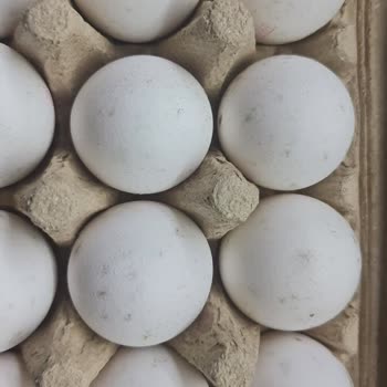Migros Bozuk Gönderilen Ürünü Değiştirmiyorlar.