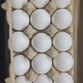 Migros Bozuk Gönderilen Ürünü Değiştirmiyorlar.
