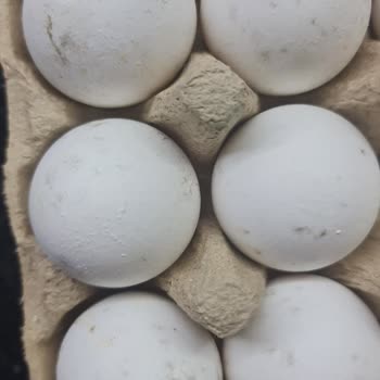 Migros Bozuk Gönderilen Ürünü Değiştirmiyorlar.