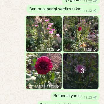Tohumevi Tohum Evi Şikayet