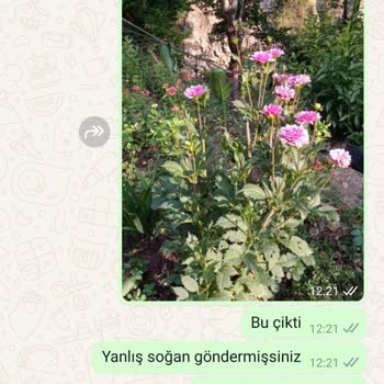 Tohumevi Tohum Evi Şikayet