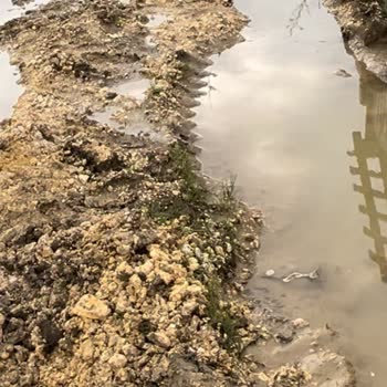 Greenlife Arsa Hiçbir Taahhüdün Tam Olarak Yerine Getirmemesi.