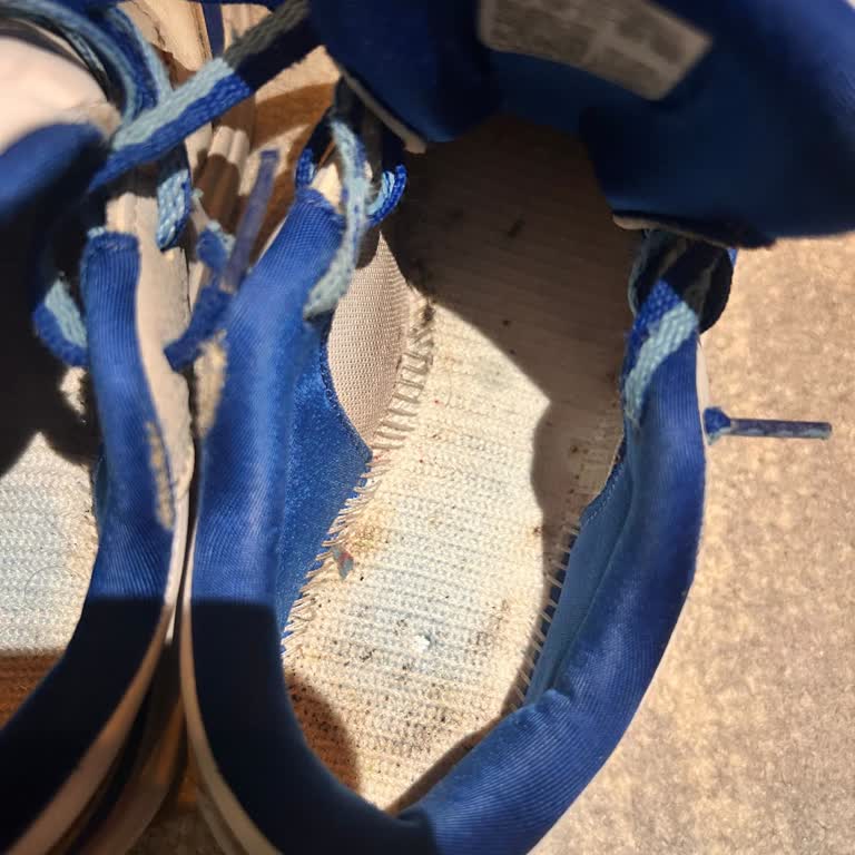 Adidas Ayakkabı Küf Ve Koku Sorunu