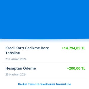 Denizbank Kredi Kartı Faizi Ve Kullanım Kısıtlaması Sorunu