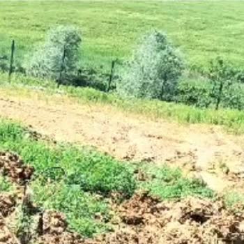 Greenlife Arsa Projesinde Verilen Sözler Yerine Getirilmiyor