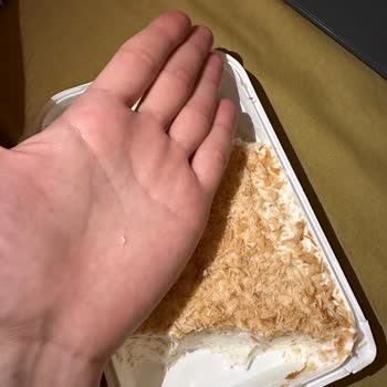 Algida Maraş Dondurma Yabancı Madde