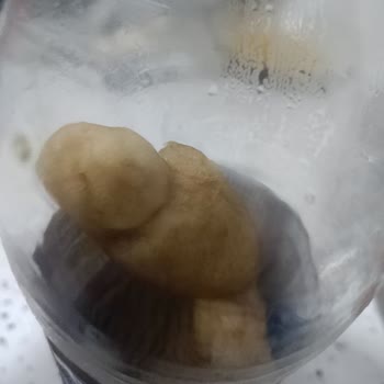 Pepsi Kolayın İçin Den