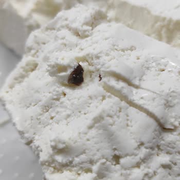 Tahsildaroğlu Lor Peynirin İçinden Çözemediğim Siyah Kalıntılar Çıktı