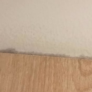 Minik Terzi Canpark AVM İlgisizlik Ve Temizlik Olmaması