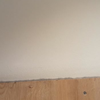 Minik Terzi Canpark AVM İlgisizlik Ve Temizlik Olmaması