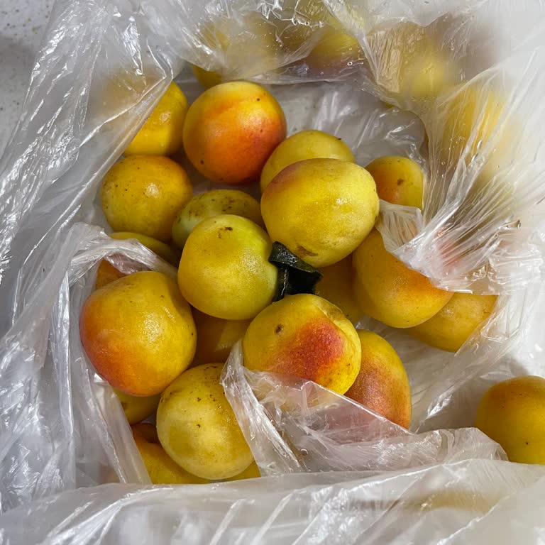 Şekerciler Market Çürük Meyve Satışı