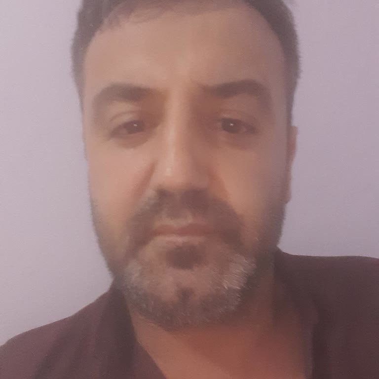 Bitforex Mağdurum Paran Gitti