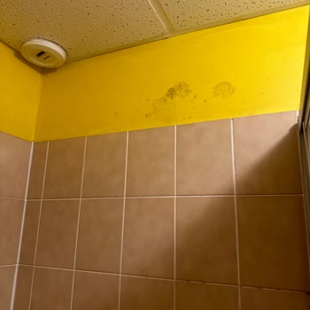 Coral Travel Benelüx Paris Turu: Kötü Organizasyon Ve Felaket Oteller