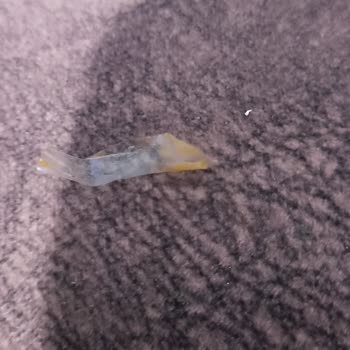 Eti Gıda Eti Maksimum Dan Naylon Poşet Parçaları Çıktı