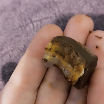 Eti Gıda Eti Maksimum Dan Naylon Poşet Parçaları Çıktı