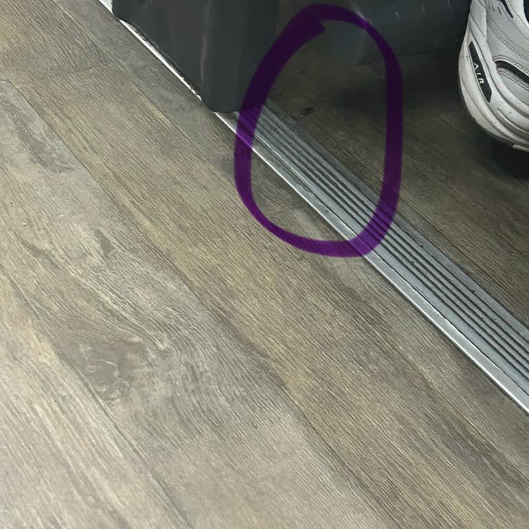 Kamil Koç Otobüste Böcek İstilası