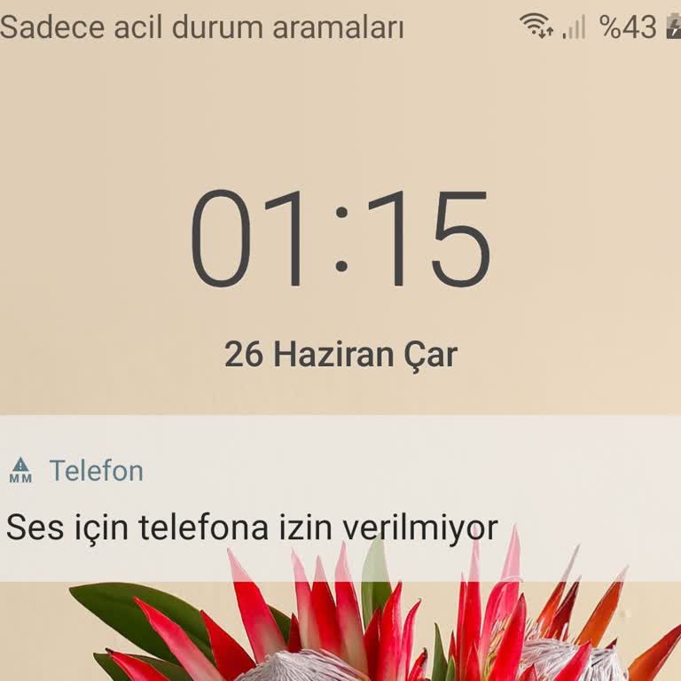 Samsung Telefon Ses İçin Telefona İzin Verilmiyor Hatası